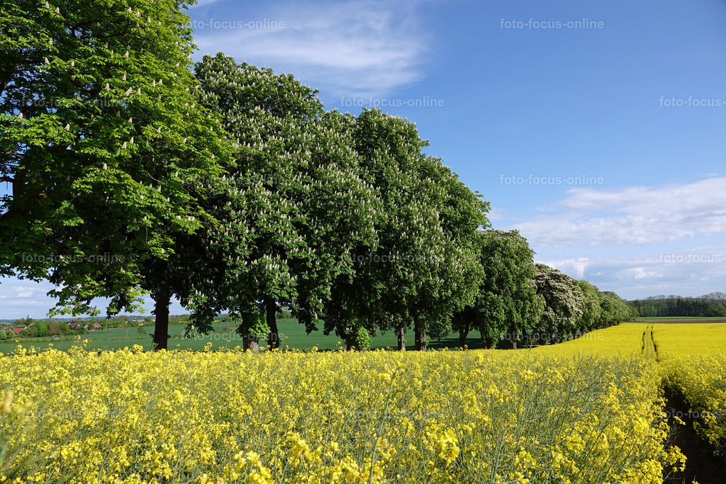 rapps-heute_8 | foto-focus-online
