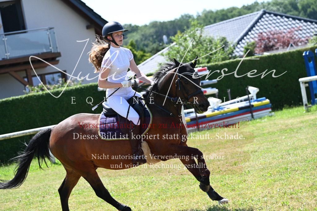 DSC_0801 | Pferde- und Turnierfotografie in Westsachsen. Pferdeportraits, Auftragszeichnungen und intuitive Kunst.