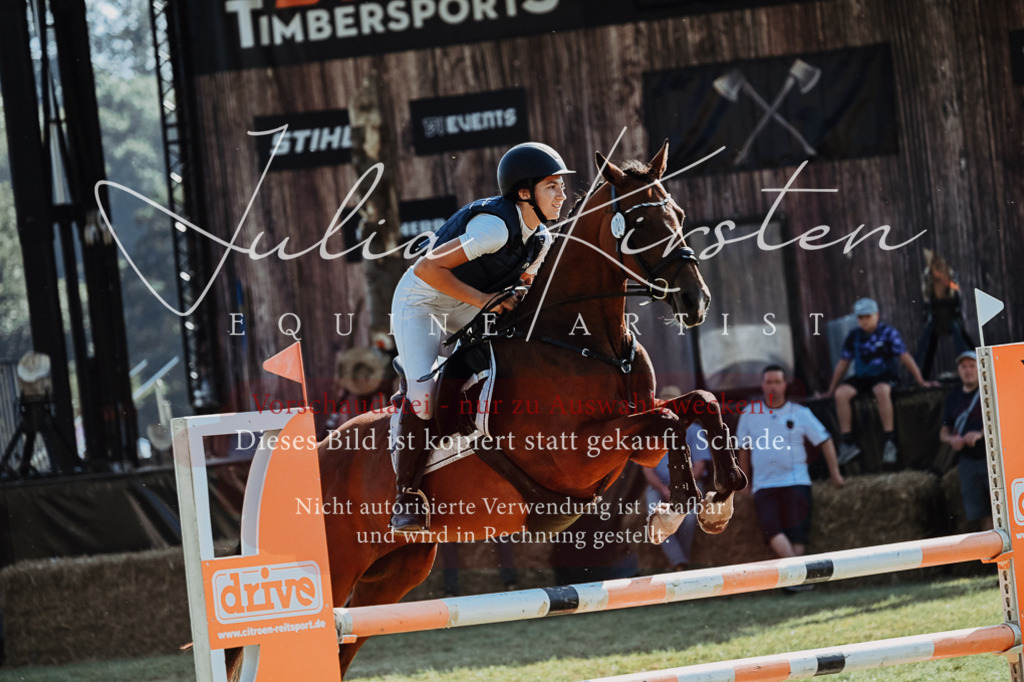 DSC_5434 | Pferde- und Turnierfotografie in Westsachsen. Pferdeportraits, Auftragszeichnungen und intuitive Kunst.