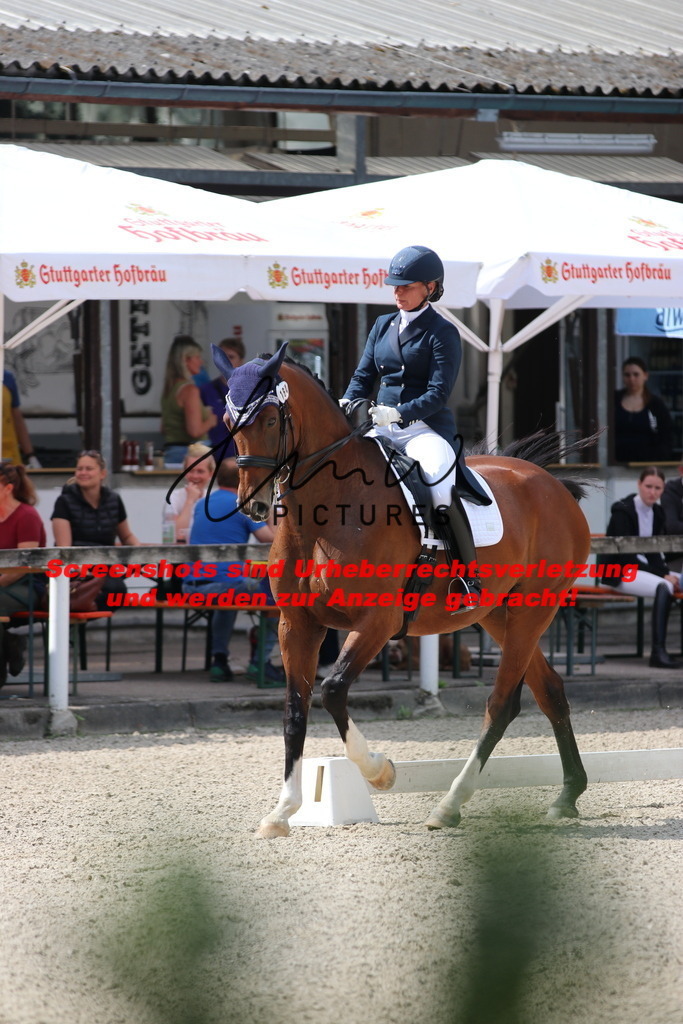 IMG_9526 | lmwpictures - Realisiert mit Pictrs.com