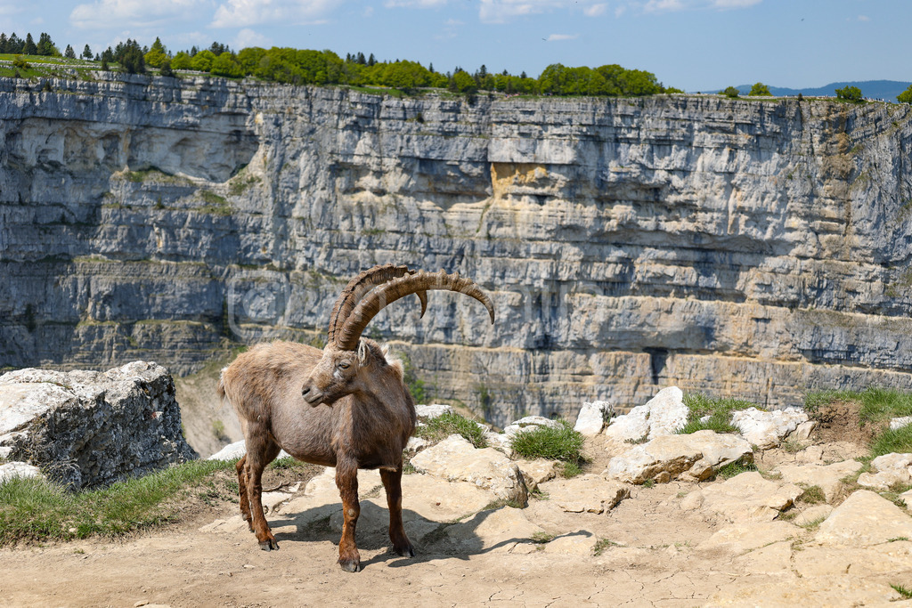 A.Trupina-40 | antonija-trupina - Realisiert mit Pictrs.com