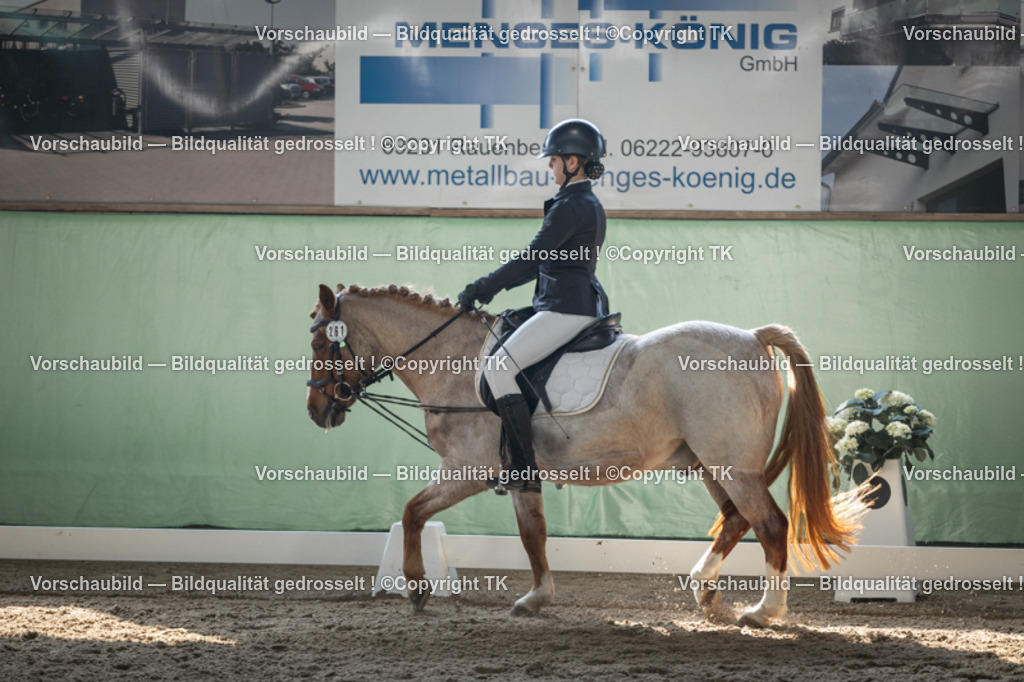 _D5A8704 | Emotionale Pferde- & People-Fotografie rund um Heidelberg, Leimen & Umgebung. Natürliche Fotos von Pferd, Mensch & Familie. Jetzt Termin sichern!