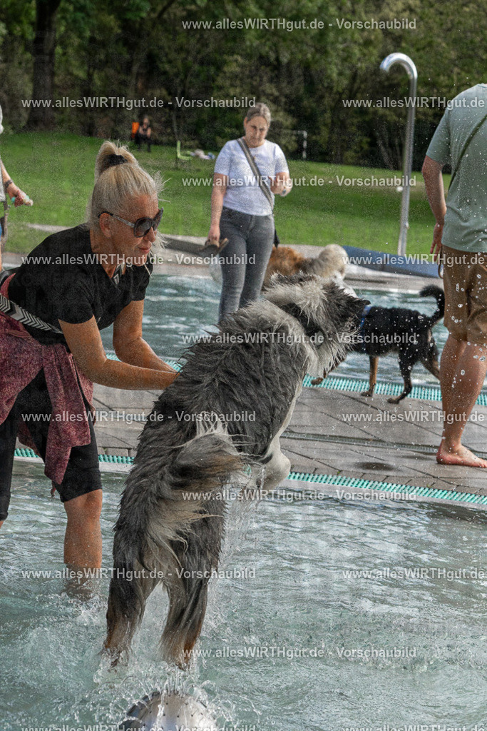 Hundeschwimmen_Volksbad_2026-allesWIRTHgut_Tierfotografie-2609061512-FAY07166 | Professionelle Tierfotografie in Mönchengladbach von Daniel Wirth (allesWIRTHgut). Liebevolle & natürliche Bilder von Hunden & Katzen für unvergessliche Erinnerungen.