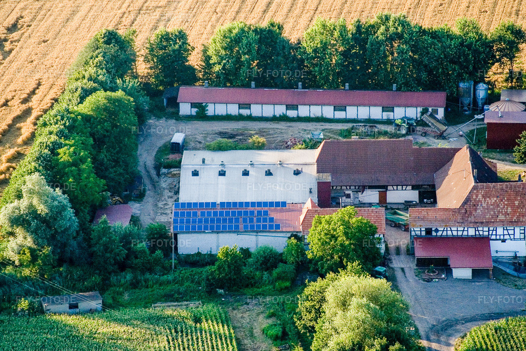 Luftbild: am Erlenbach, Leistenmühle in Kandel im Bundesland Rheinland-Pfalz in Deutschland. Foto: IMG_11810.jpg vom 25.07.2008 durch Werner Riehm/FLY-FOTO.de
