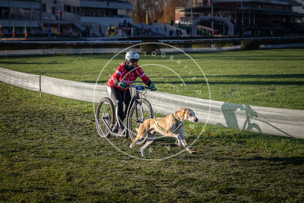 CaniXpix_0L8A3534 | Hundefotografie, Tierfotograf, Pfotenfotografie, Fotoshooting Hund, Hunde Portrait, Hundesport, Hundeportraits, Heideshooting, Hunde, Sportfotograf, Hundefotograf, Turnierhundsport, THS,  - Realisiert mit Pictrs.com