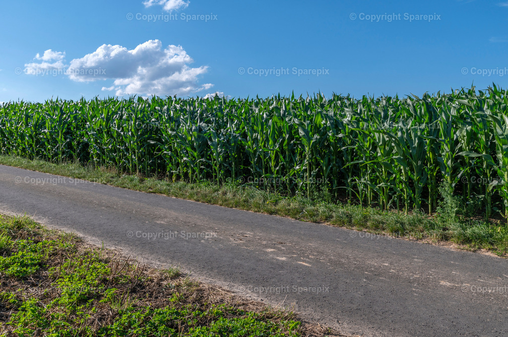 CAR_Agri_Corn1 | light 10/40° - Realisiert mit Pictrs.com