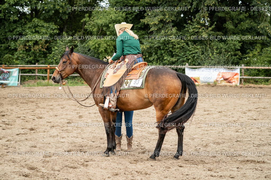 DSC03758 | Pferdegrafie