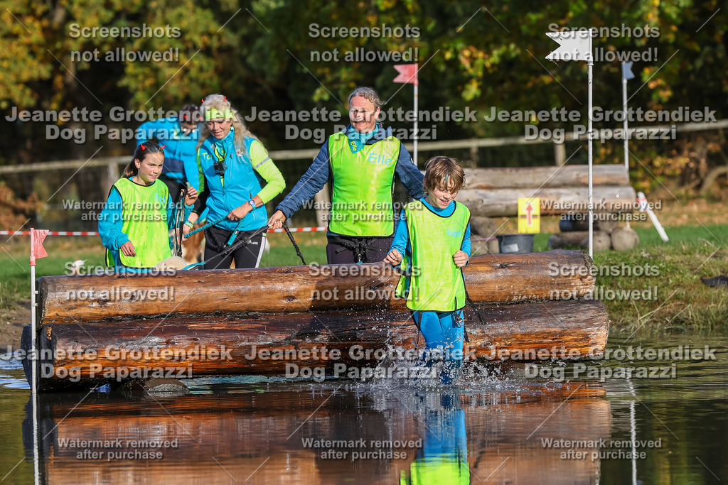 Dog Paparazzi - Strongdog 10-25-8459 | Dog Paparazzi Jeanette Grottendiek Fotografie & Videografie - Realisiert mit Pictrs.com