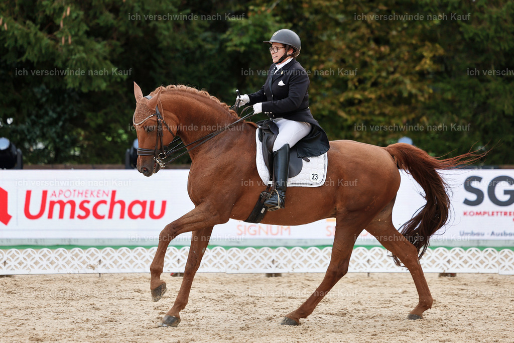 07-023-DRESSUR  S___  -StoibPH-5045 | working equitationturnier fotograf videograf stoibphotography marixx film working equitation deutschland reitsport turnierfotografie eventfotografie equestrian events