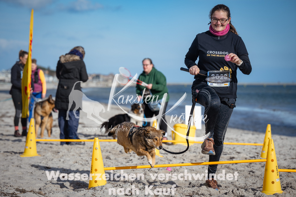 1349_ZZ93798 | kk-dogfotos