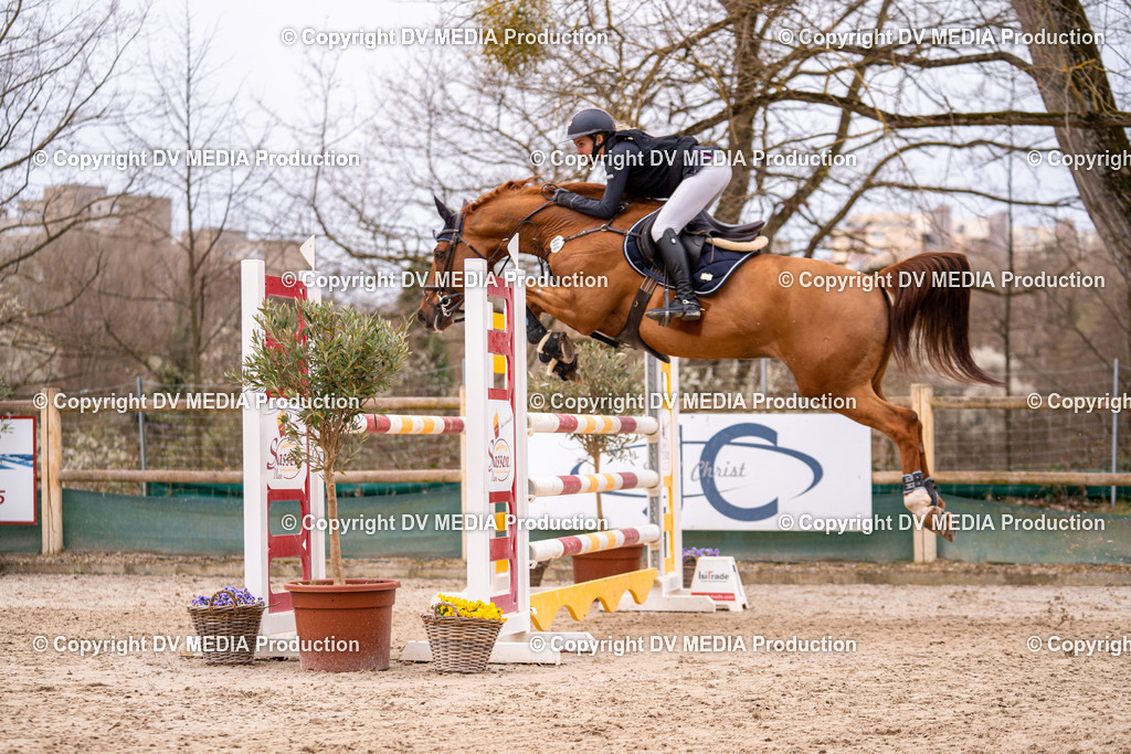 Kranichstein Tag 2-245 | dv-media-shop - Realisiert mit Pictrs.com