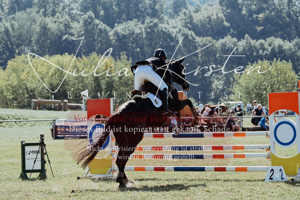 DSC_5730 | Pferde- und Turnierfotografie in Westsachsen. Pferdeportraits, Auftragszeichnungen und intuitive Kunst.