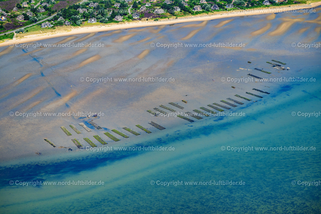 Sylt_List_Wattenmeer_Austernzucht_Dittmeyers_Austern_Compernie_ELS_347930825 | LIST 13.08.2025 Wattenmeer der Nordsee- Küste mit Austern-Zucht-Bänken "Sylter Royal" in List im Bundesland Schleswig-Holstein, Deutschland. Weiterführende Informationen bei: Dittmeyer's Austern-Compagnie GmbH. // Wadden Sea of the North Sea coast with oyster breeding banks "Sylter Royal" in List in the federal state of Schleswig-Holstein, Germany. Further information at: Dittmeyer's Austern-Compagnie GmbH. Foto: Martin Elsen