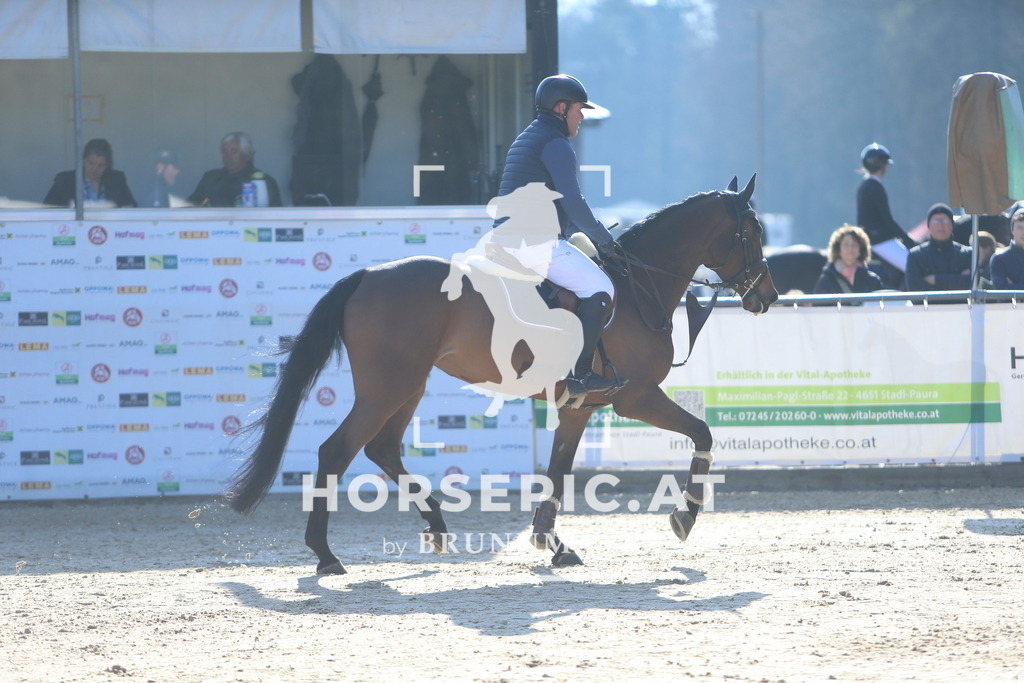 DL2Q7667 | Willkommen bei Brunnmayr - Design & Fotografie – Ihrem Spezialisten für Reitturniere und Pferdeveranstaltungen in Oberösterreich, Salzburg und Bayern! Seit über 17 Jahren sind wir leidenschaftlich dabei.