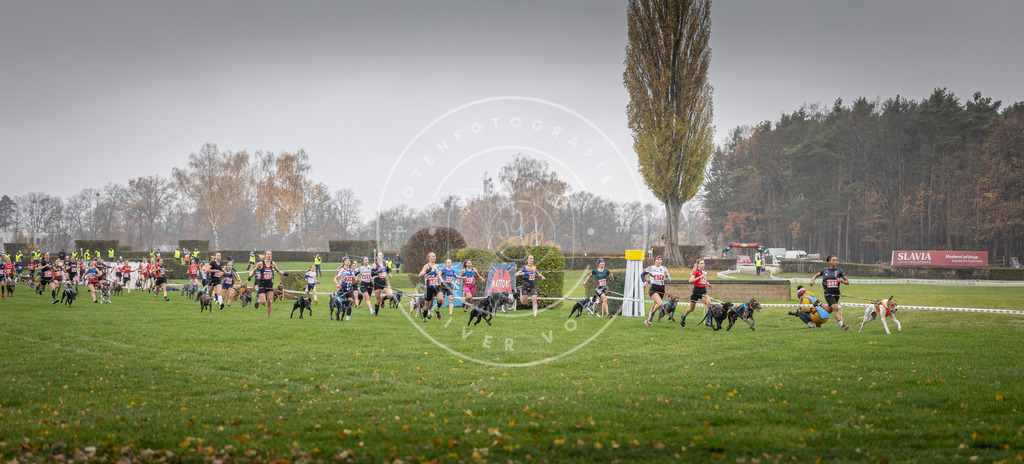 CaniXpix_DV3A8716 | Hundefotografie, Tierfotograf, Pfotenfotografie, Fotoshooting Hund, Hunde Portrait, Hundesport, Hundeportraits, Heideshooting, Hunde, Sportfotograf, Hundefotograf, Turnierhundsport, THS,  - Realisiert mit Pictrs.com