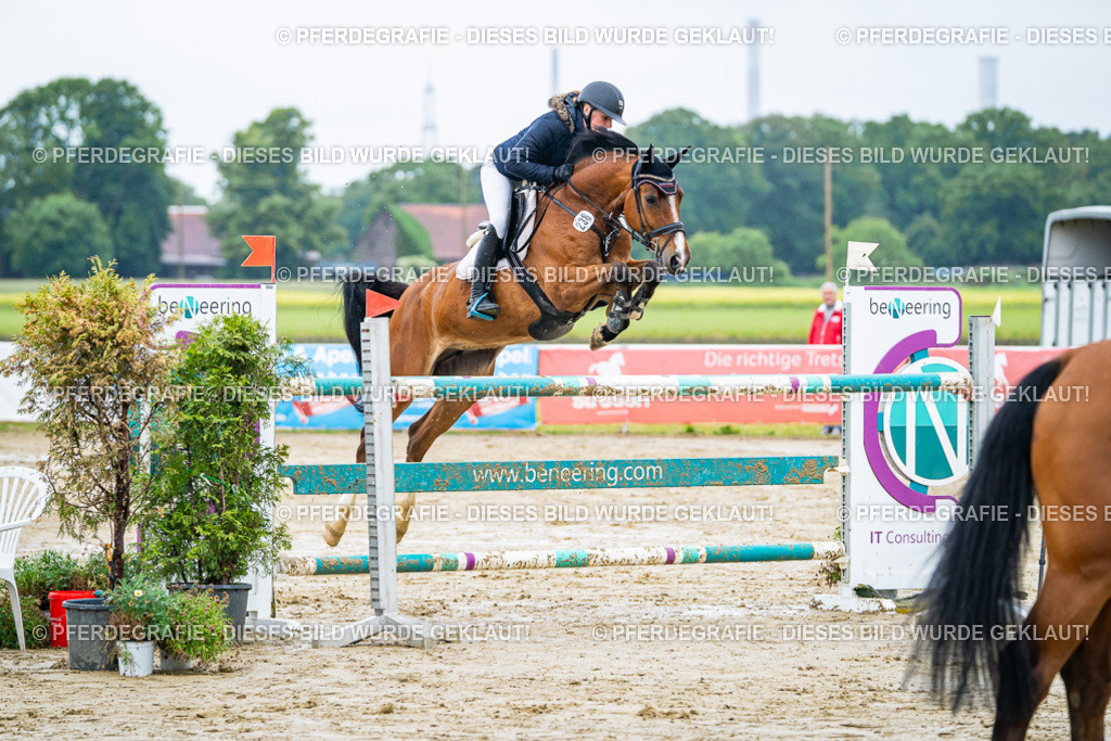 DSC03587 | Pferdegrafie