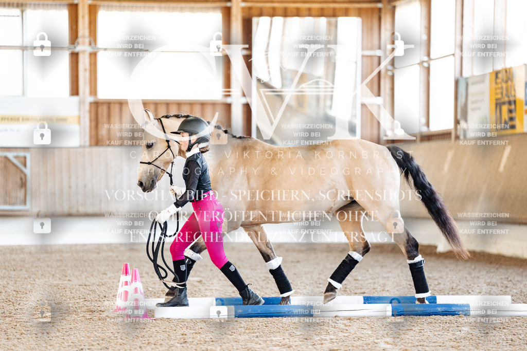 CK905356 | Turnierfotografie Pferdefotografie Trier Rheinland-Pfalz Pferdesport Reitsport Tierfotografie Sportfotografie Pferdevideo Pferdevideografie Equestrianvideography equestrianphotography  - Realisiert mit Pictrs.com