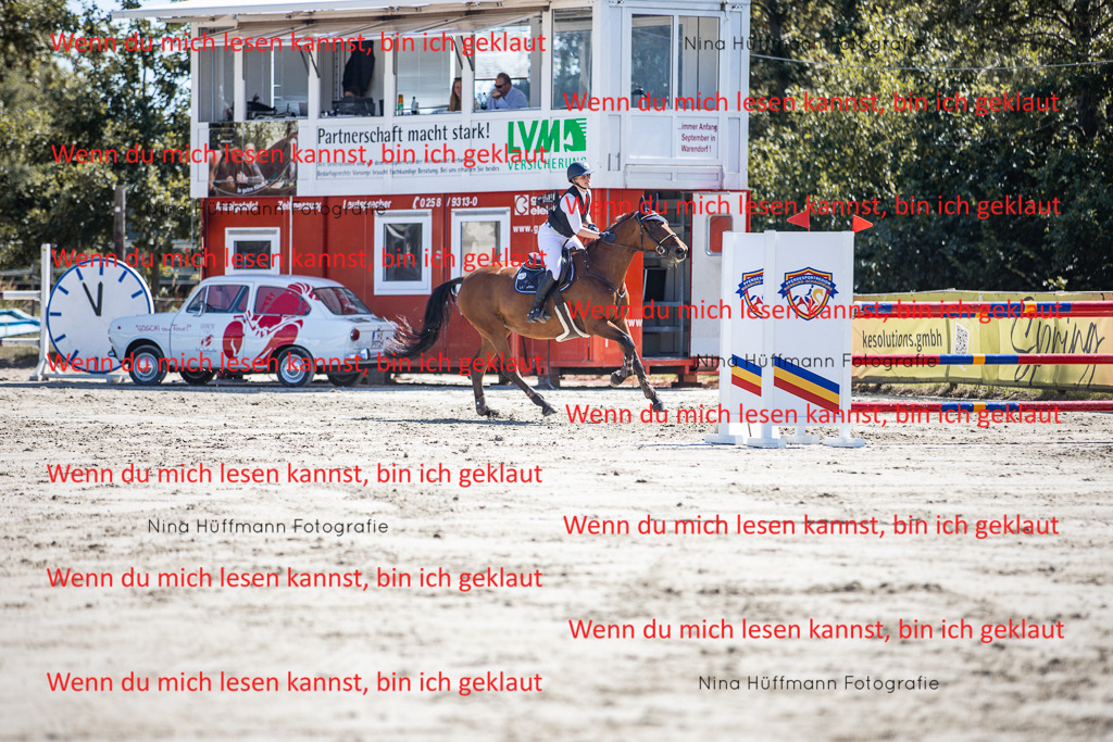BK1A6718 | Turnierbilder Turnierfotos Nina Hüffmann Turnierfotografie Pferdefotografie Tierzeichnung Haustierzeichnung Pferdezeichnung Hundezeichnung Videograf  - Realisiert mit Pictrs.com