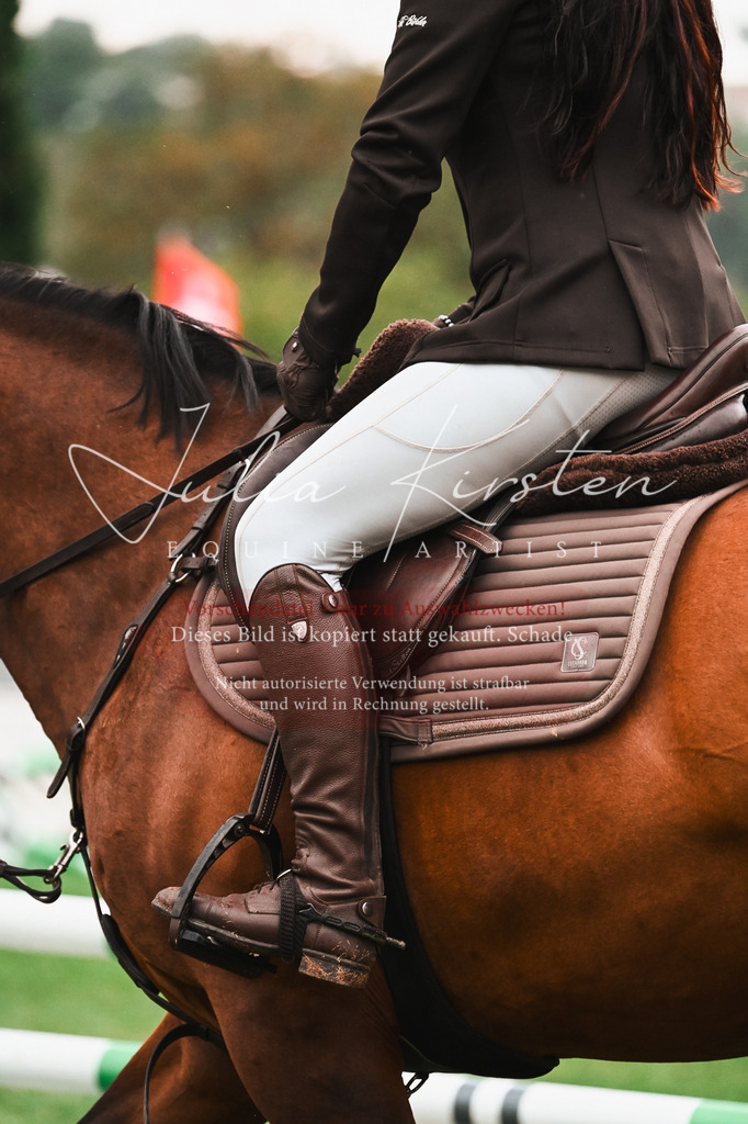 DSC_6489 | Pferde- und Turnierfotografie in Westsachsen. Pferdeportraits, Auftragszeichnungen und intuitive Kunst.
