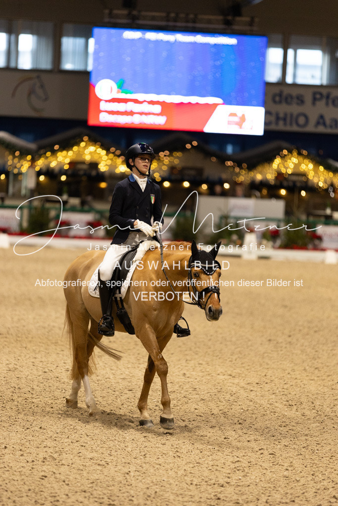 126A5597 | jasminmetznerfotografie