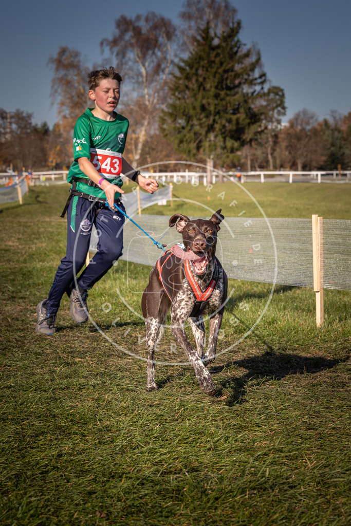 CaniXpix_0L8A7579 | Hundefotografie, Tierfotograf, Pfotenfotografie, Fotoshooting Hund, Hunde Portrait, Hundesport, Hundeportraits, Heideshooting, Hunde, Sportfotograf, Hundefotograf, Turnierhundsport, THS,  - Realisiert mit Pictrs.com