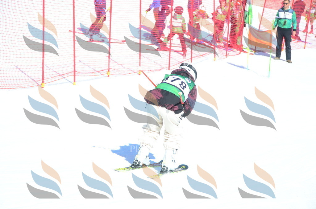 C6378 | holidayphoto