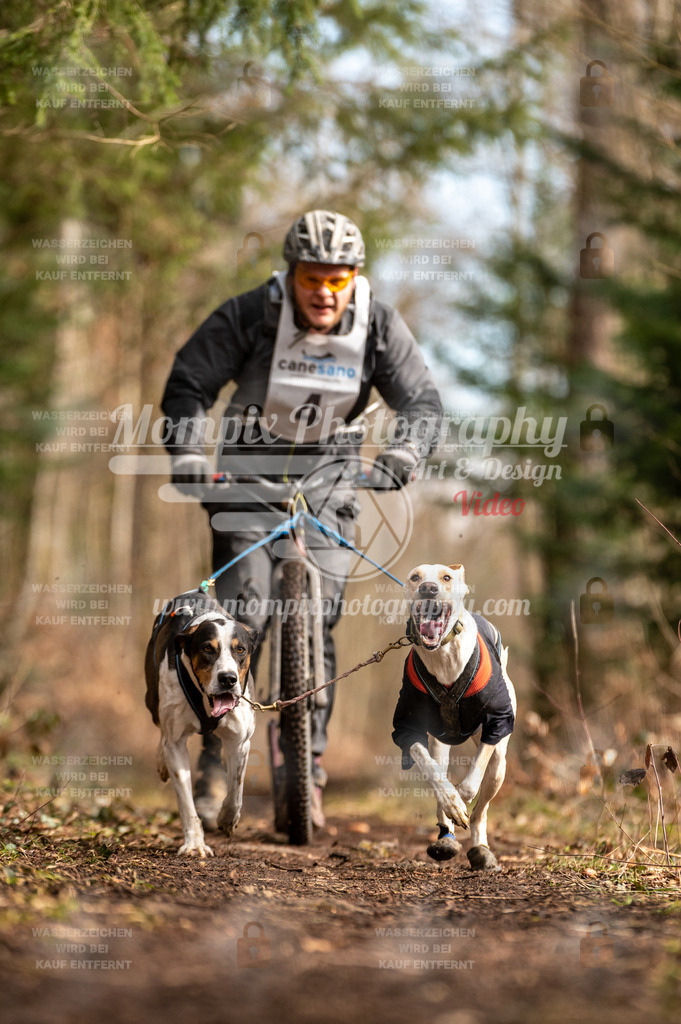 Reiat2023_SAM_DS2_5km_2H-19 | PayLife