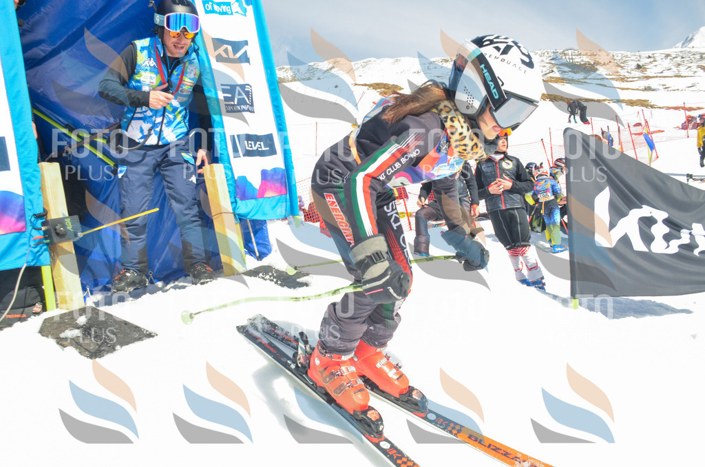 _ELE6272 | holidayphoto