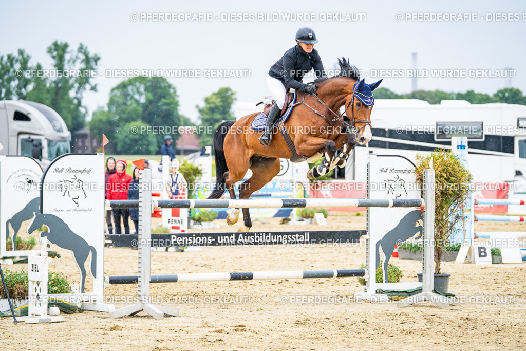 DSC07384 | Pferdegrafie