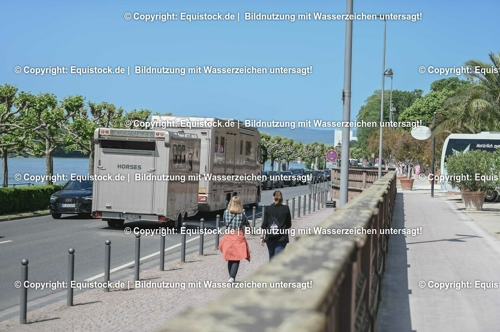 D78_2892 | equistock