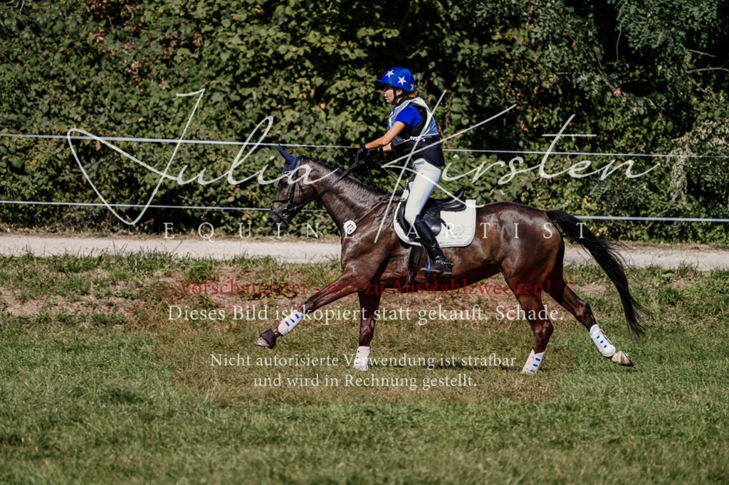 DSC_1682 | Pferde- und Turnierfotografie in Westsachsen. Pferdeportraits, Auftragszeichnungen und intuitive Kunst.