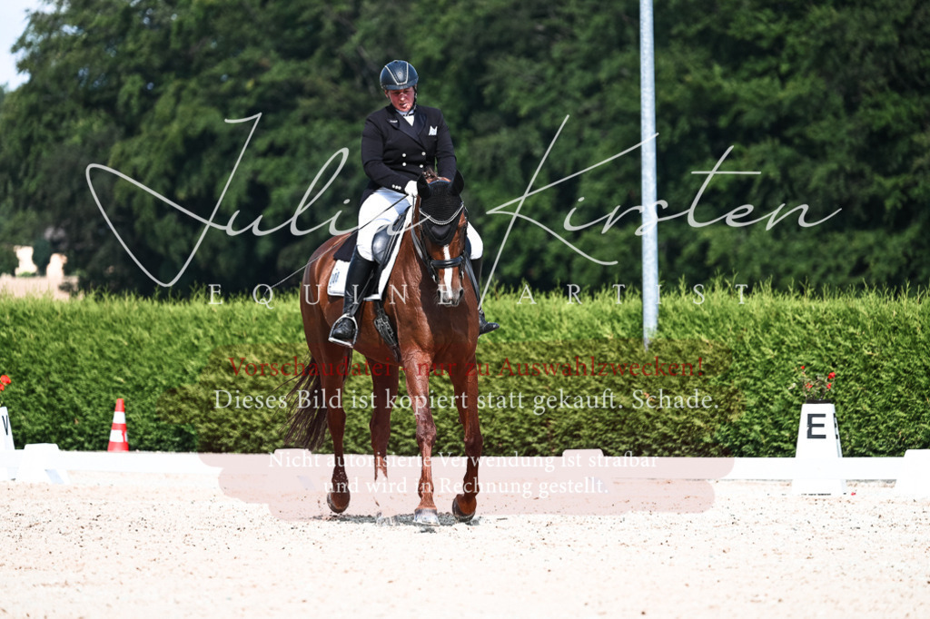 DSC_3243 | Pferde- und Turnierfotografie in Westsachsen. Pferdeportraits, Auftragszeichnungen und intuitive Kunst.