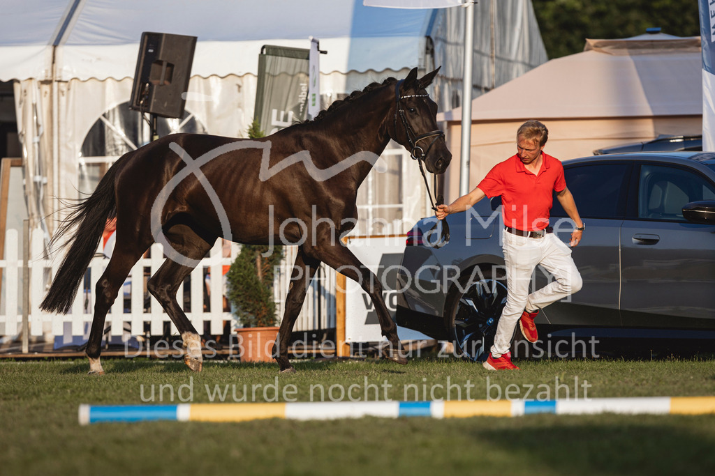 240720_LC_Showabend-746 | Deine schönsten Turniermomente als professionelle Fotos! Entdecke hochwertige Pferdesport-Fotografie im Online-Shop. Jetzt Fotos finden & bestellen!