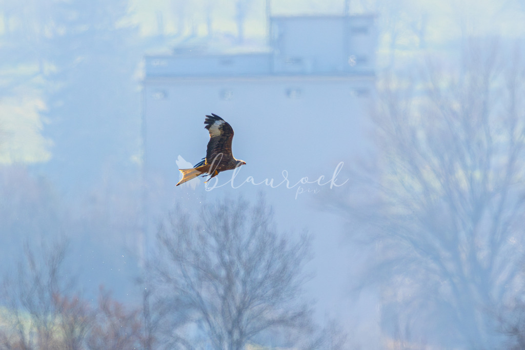  waterslide--5 | Frühlingserwachen