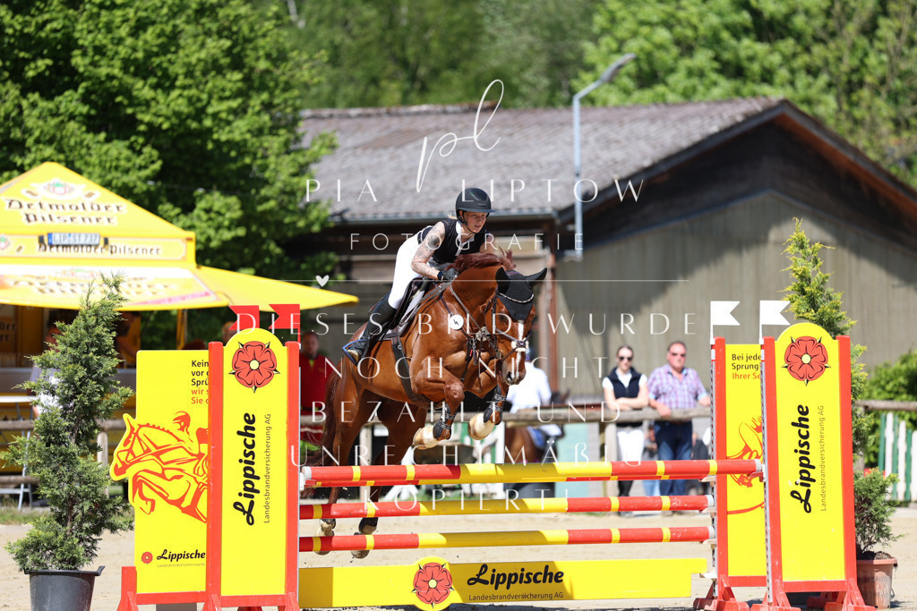 IMGS7181 | pl-fotografie