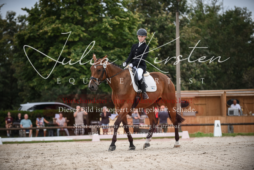 DSC_8005 | Pferde- und Turnierfotografie in Westsachsen. Pferdeportraits, Auftragszeichnungen und intuitive Kunst.