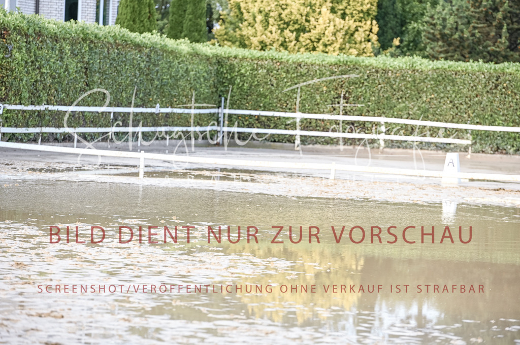 Schugtsche-Aluta25-54.Dressurprf.L1Trense-322 | Schugtsche Fotografie - Realisiert mit Pictrs.com