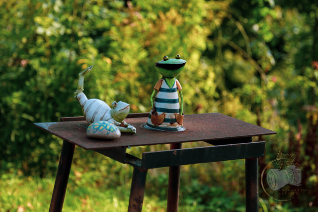 DSC_3009-10 | Shop für Prints Landschaftsfotografie Sächsische Schweiz Naturfotografie in Thüringen Fotos vom Findlingspark Nochten Kloster Sankt Marienstern Bilder Festung Königstein PanoramaRhododendronpark Kromlau FotogalerSchleswig-Holstein Küstenlandschaften