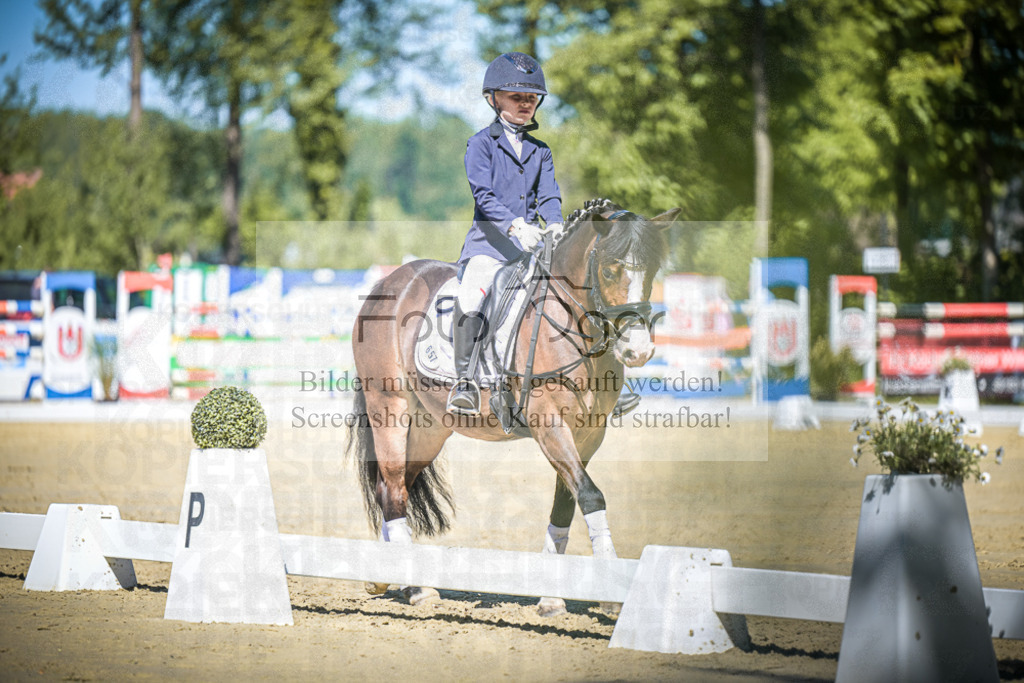 DOS_8173 | Entdecke hochwertige Reitturnierfotos von Foto Oger. Professionell, emotional und authentisch – jetzt Lieblingsmomente im Shop bestellen.Deutschlandweite Turnierfotografie. - Realisiert mit Pictrs.com