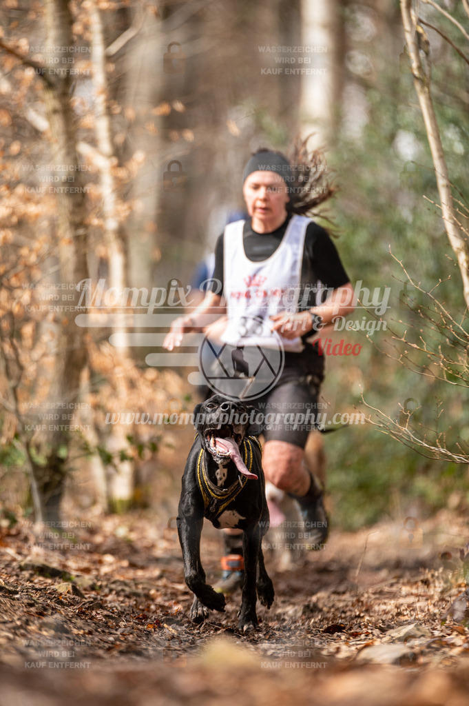 SPA_2023_DIM_CCK-153 | PayLife