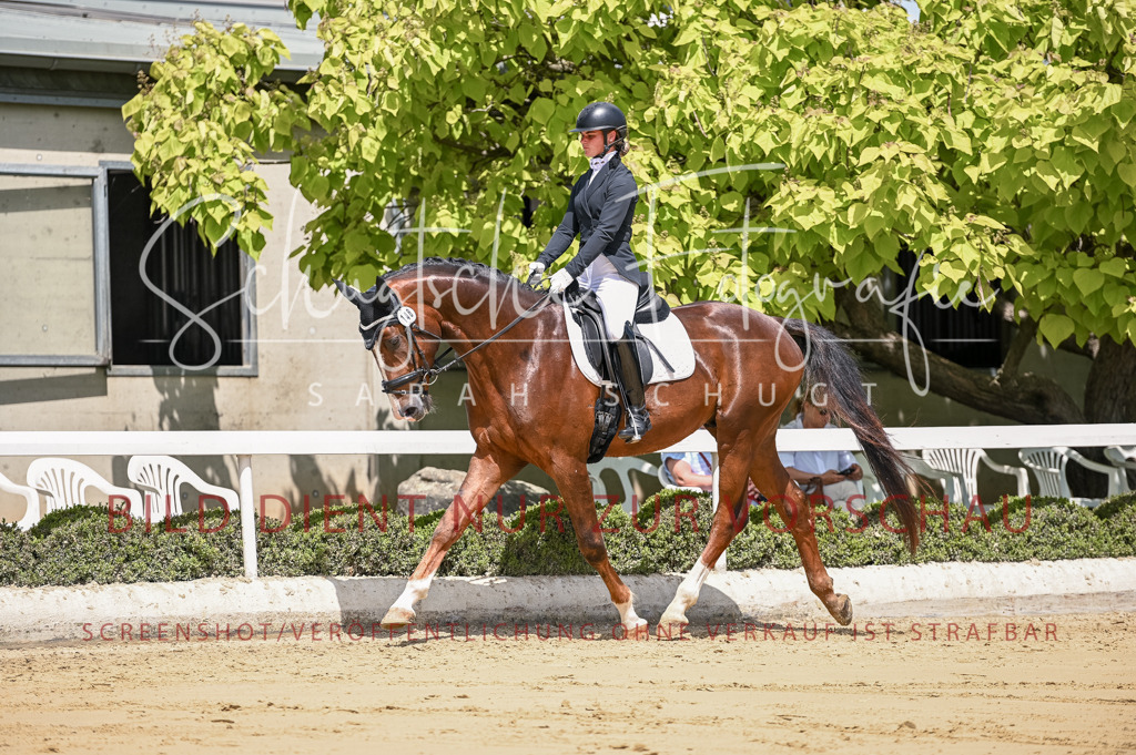 Schugtsche-Aluta25-48.Reitpferfdeprf.-275 | Schugtsche Fotografie - Realisiert mit Pictrs.com