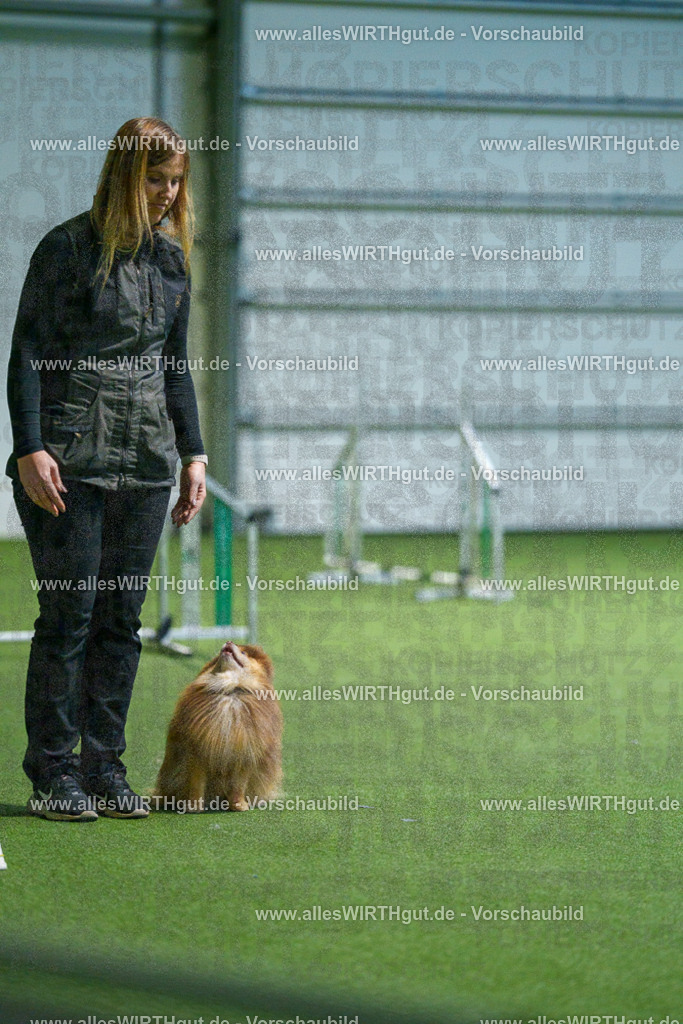 7R506814 | Professionelle Tierfotografie in Mönchengladbach von Daniel Wirth (allesWIRTHgut). Liebevolle & natürliche Bilder von Hunden & Katzen für unvergessliche Erinnerungen.