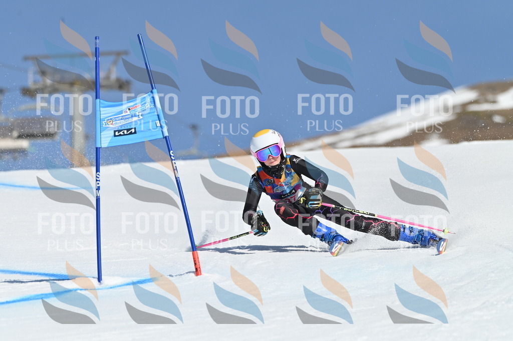 BGV_8287 | holidayphoto