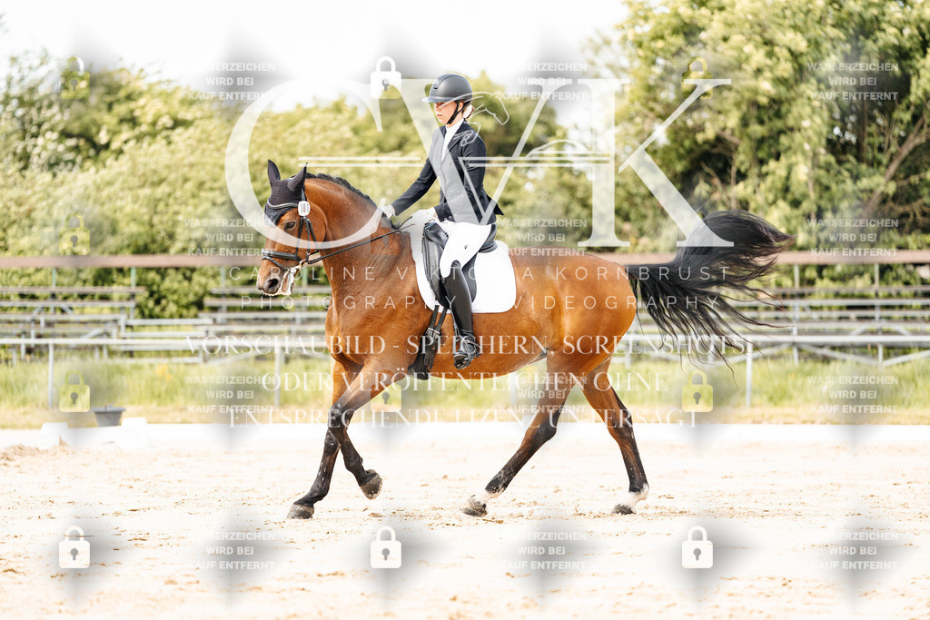 CK900964 | Turnierfotografie Pferdefotografie Trier Rheinland-Pfalz Pferdesport Reitsport Tierfotografie Sportfotografie Pferdevideo Pferdevideografie Equestrianvideography equestrianphotography  - Realisiert mit Pictrs.com