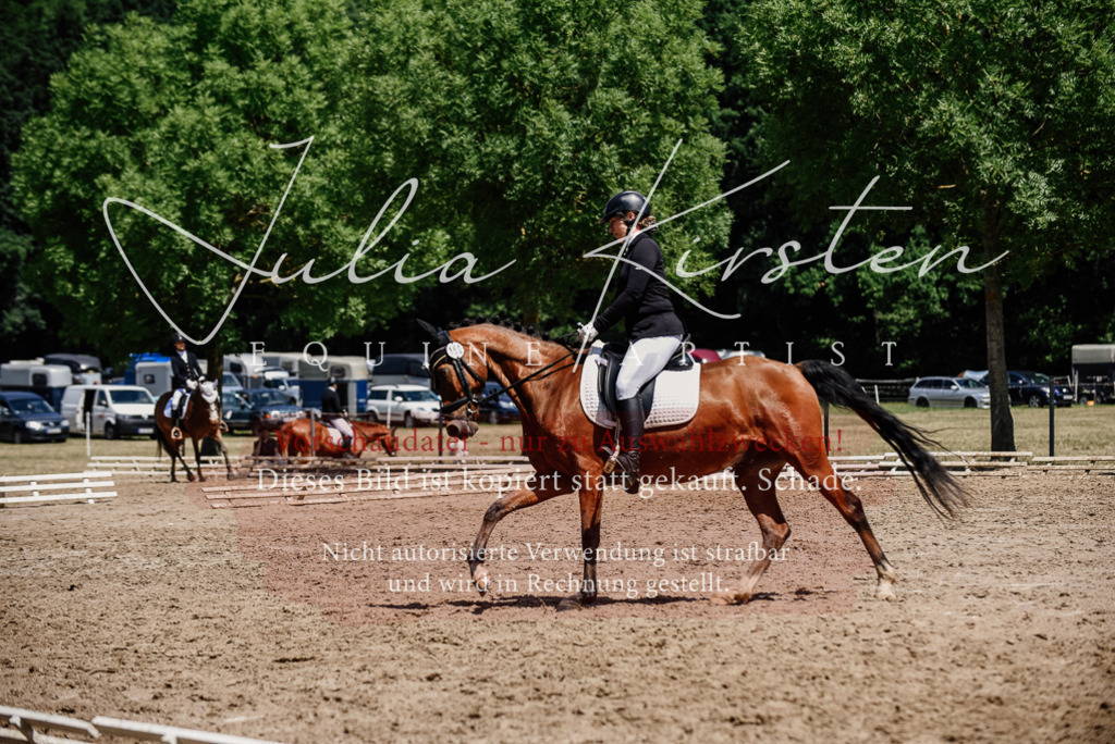 DSC_1899 | Pferde- und Turnierfotografie in Westsachsen. Pferdeportraits, Auftragszeichnungen und intuitive Kunst.