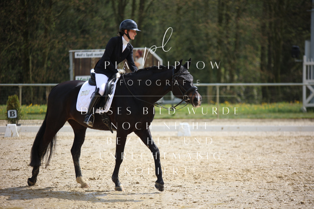 IMGT3755 | pl-fotografie