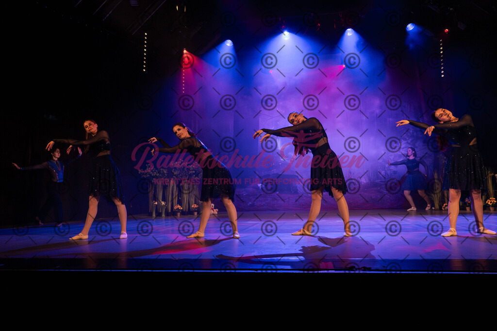 Ballettaufführung-1034 | Bildershop Lem'n Entertainment - Realisiert mit Pictrs.com