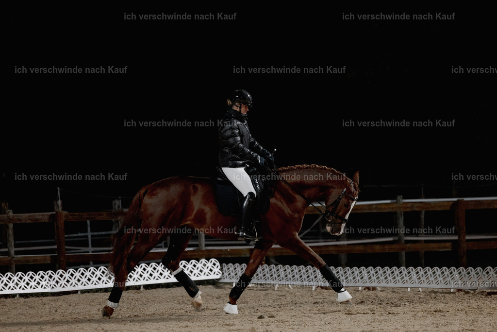 FHClassics-8 | working equitationturnier fotograf videograf stoibphotography marixx film working equitation deutschland reitsport turnierfotografie eventfotografie equestrian events