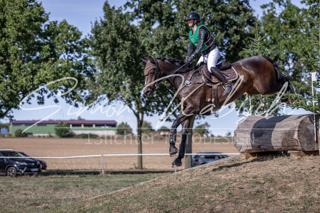 20260906-_3LI5697 | Tierfotografie Pferde, Hunde, Katzen, Haustiere.
Turnierfotografie Reitturniere, Reiten, Springreiten, Dressur in Hanau, dem Main-Kinzig-Kreis und dem Rhein-Main- Gebiet um Frankfurt
