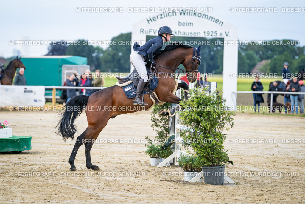 DSC03411 | Pferdegrafie